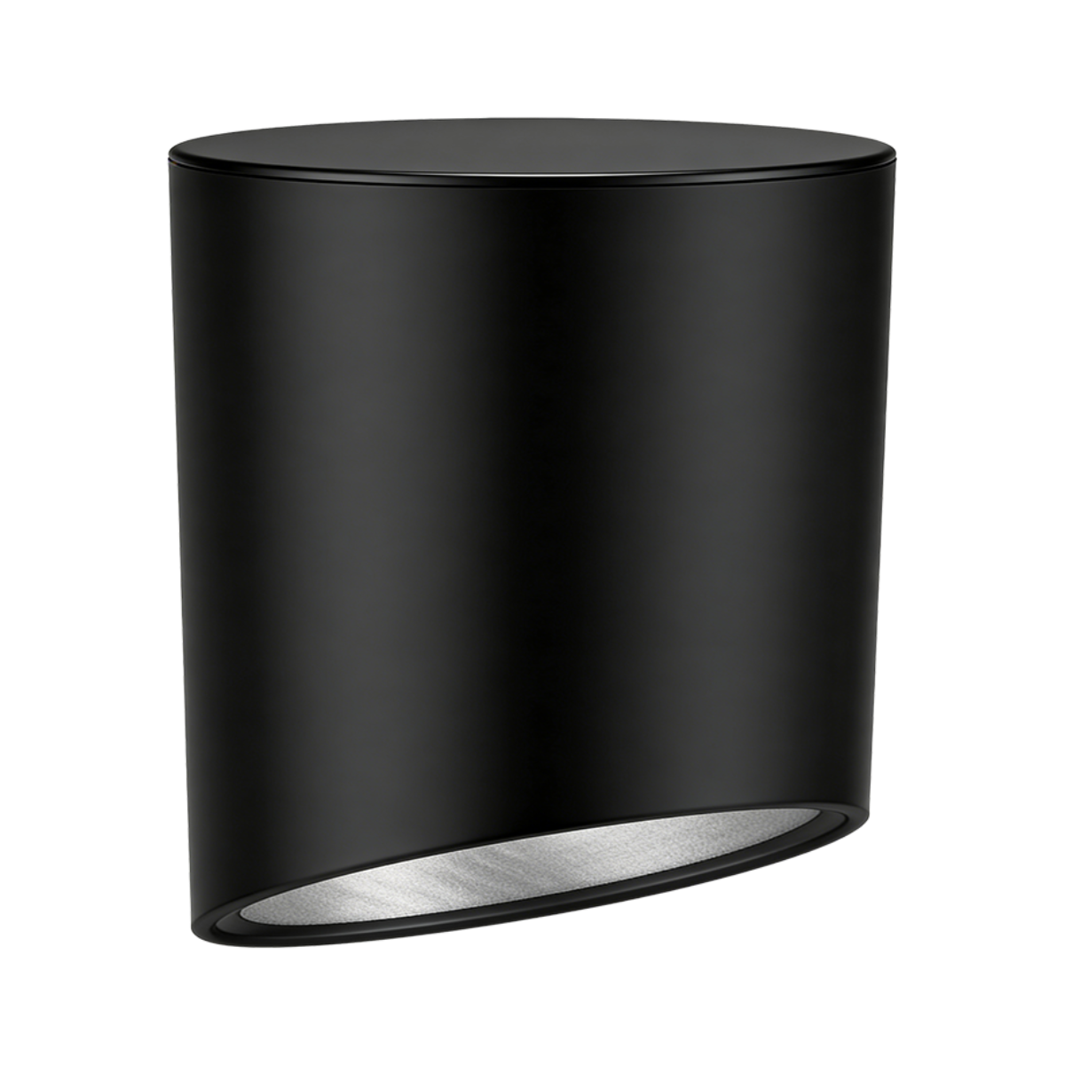 Asylo Surface Mounted Downlight