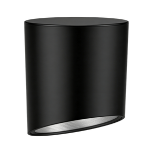 Asylo Surface Mounted Downlight