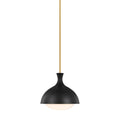 Lucerne 1L Pendant - AEP1021BBSMBK