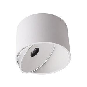 Flip Gimble Surface Mounted Downlight