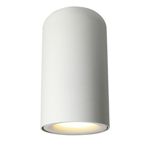 Roundbeam Surface Mounted Downlight