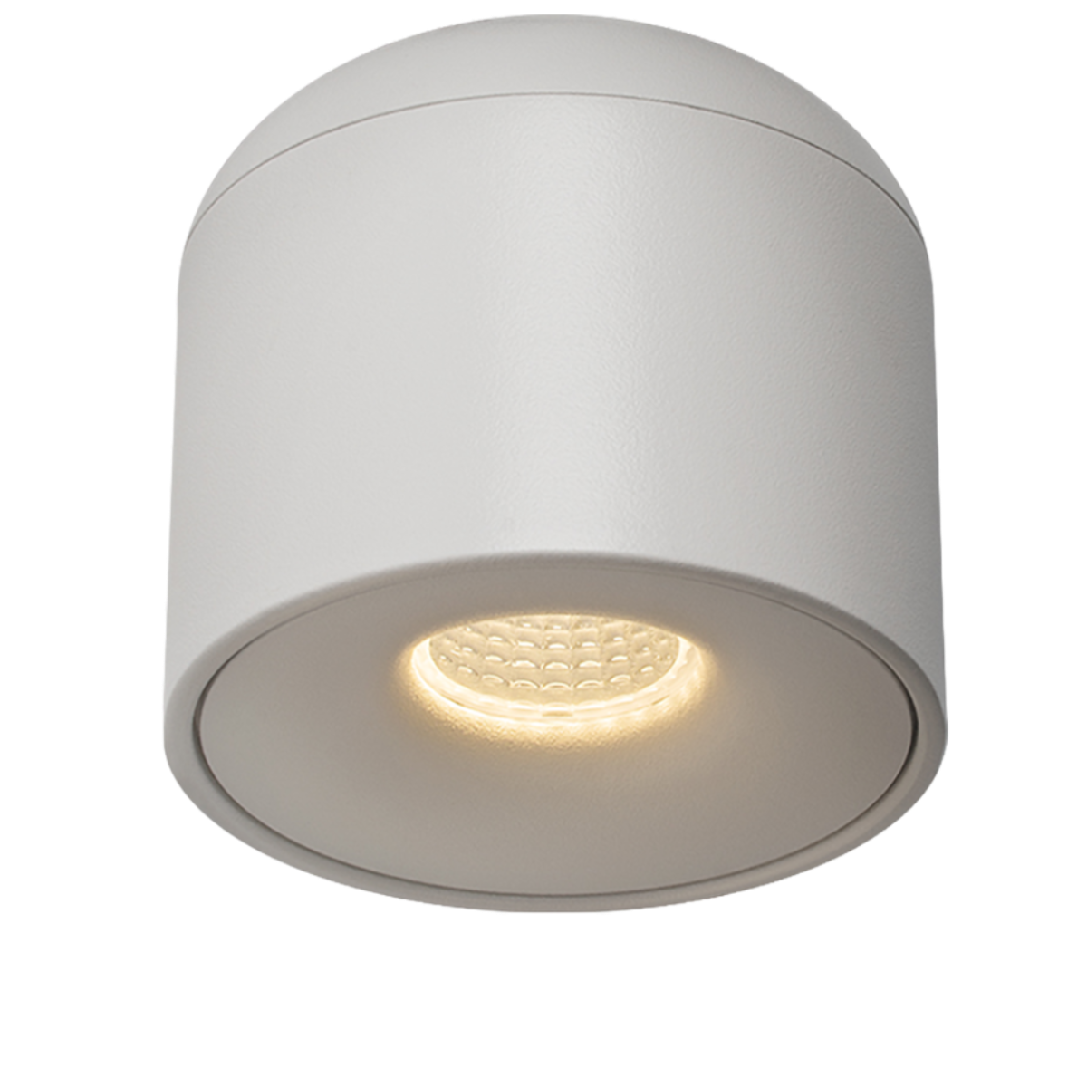 Roundbeam Surface Mounted Downlight