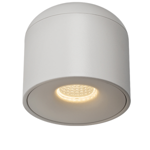 Roundbeam Surface Mounted Downlight