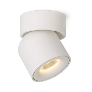 Tiltbeam Gimble Surface Mounted Downlight