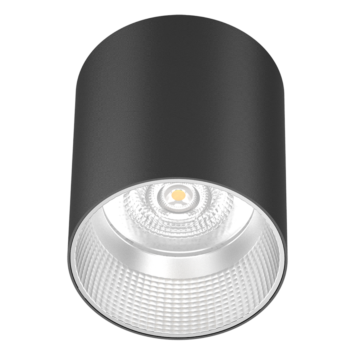 Vega Surface Mounted Downlight
