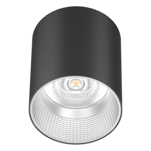 Vega Surface Mounted Downlight