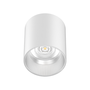 Vega Surface Mounted Downlight