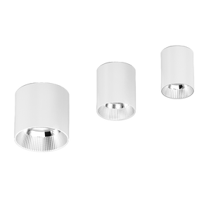 Vega Surface Mounted Downlight