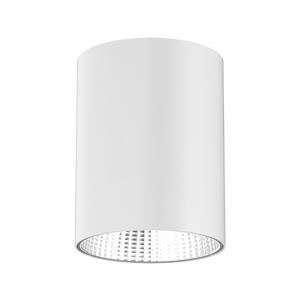 Vega Surface Mounted Downlight