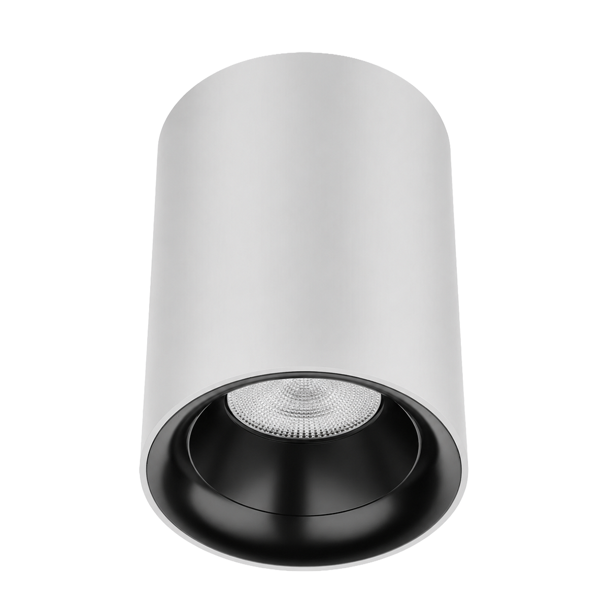 Zeta Surface Mounted Downlight