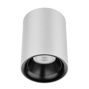 Zeta Surface Mounted Downlight