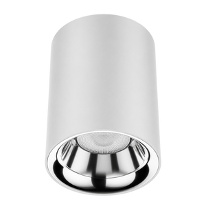 Zeta Surface Mounted Downlight