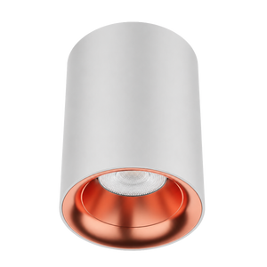 Zeta Surface Mounted Downlight