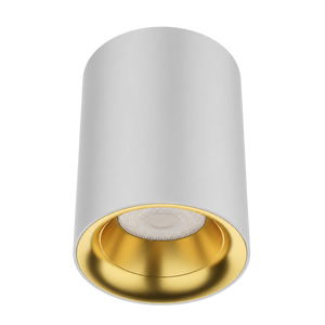 Zeta Surface Mounted Downlight