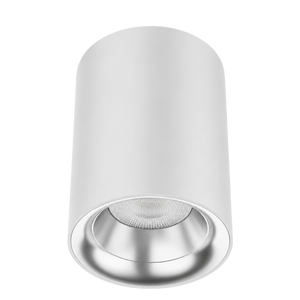 Zeta Surface Mounted Downlight