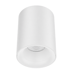 Zeta Surface Mounted Downlight